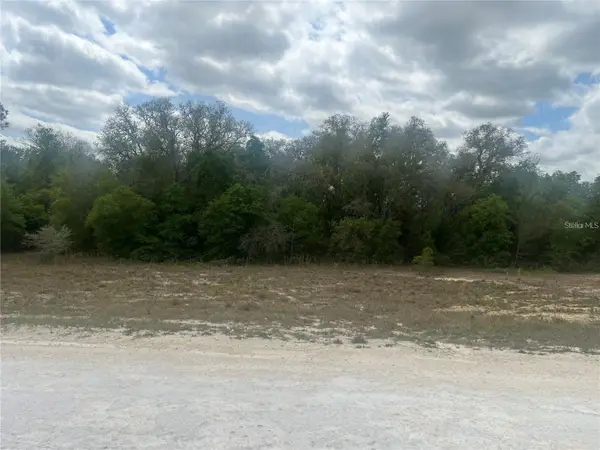 Cleft Rock St, WEBSTER, FL 33597