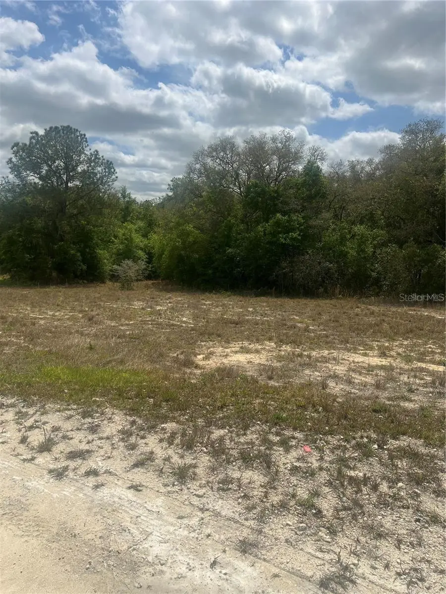 Cleft Rock St, Webster, FL 33597 - #2