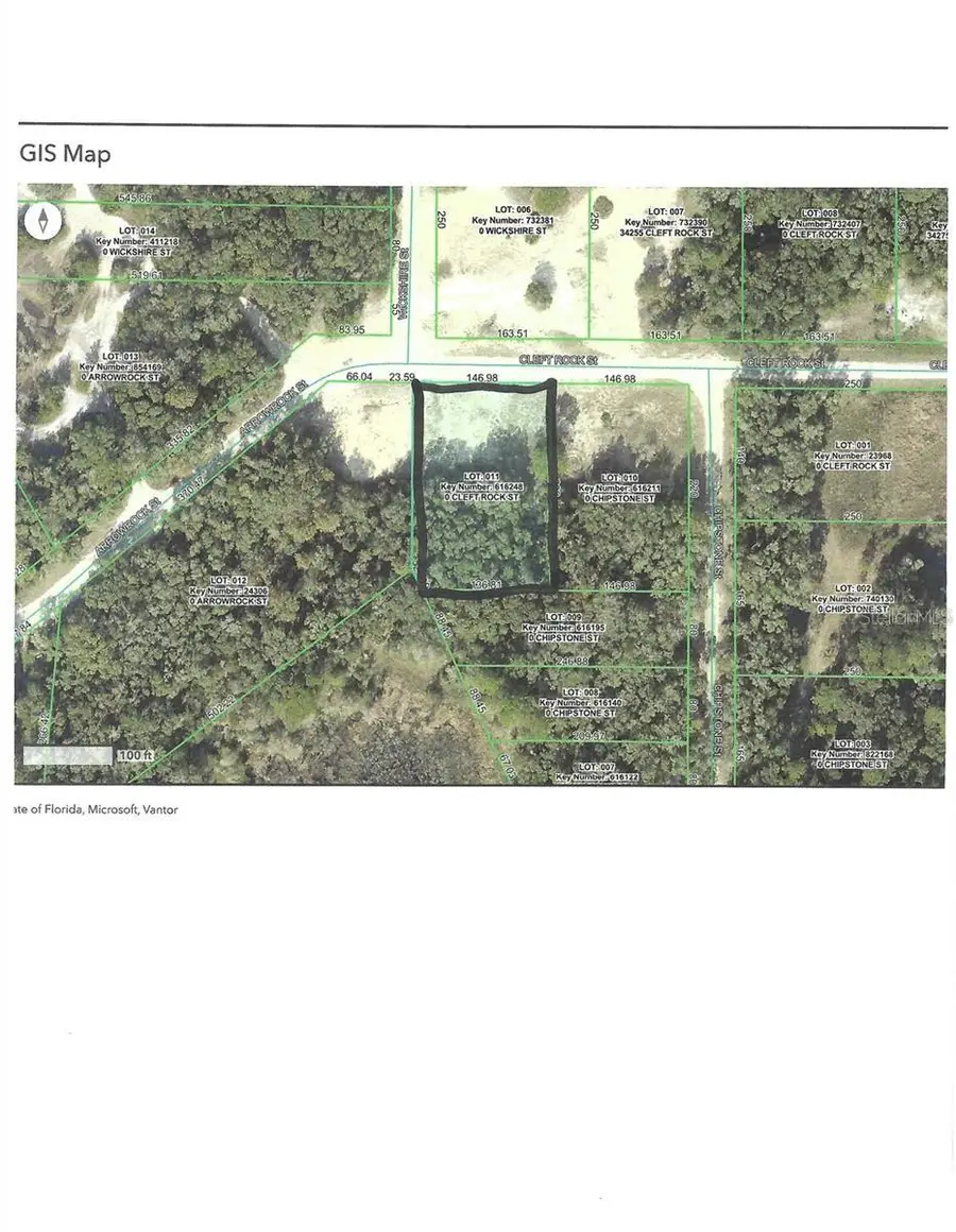 Cleft Rock St, Webster, FL 33597 - #3