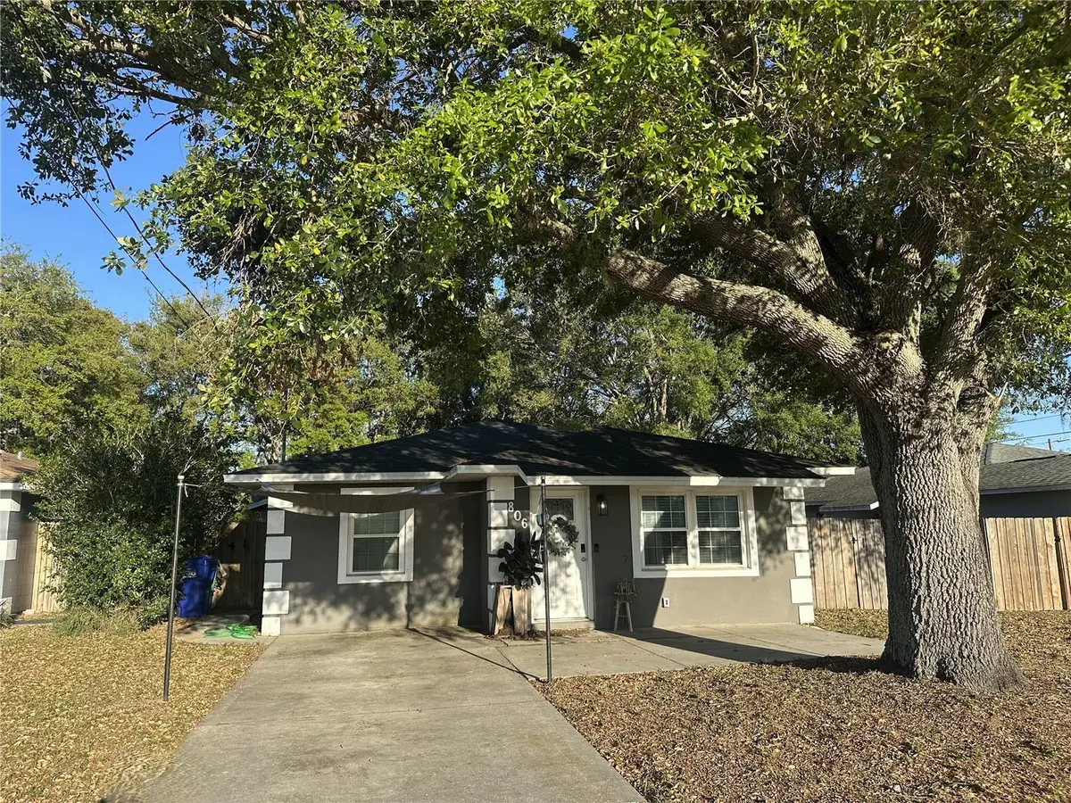 806 N Joanna Avenue, Tavares, FL 32778 - #1