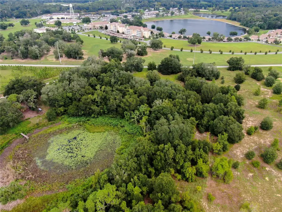 TBD LOT 7 Keene Road, Altoona, FL 32702 - #3