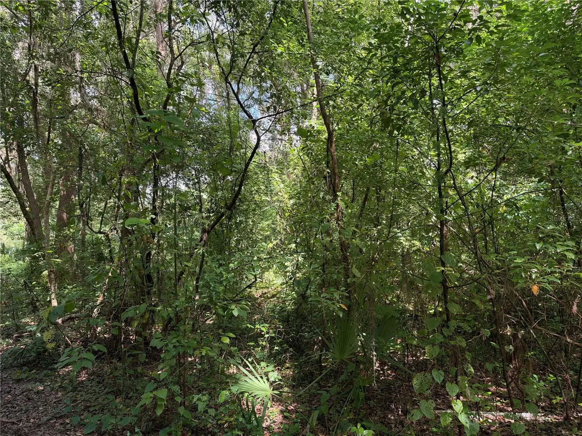 0 Se 118th Place, Belleview, FL 34420 - #1