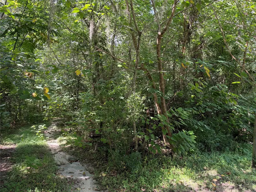 0 Se 118th Place, Belleview, FL 34420 - #2