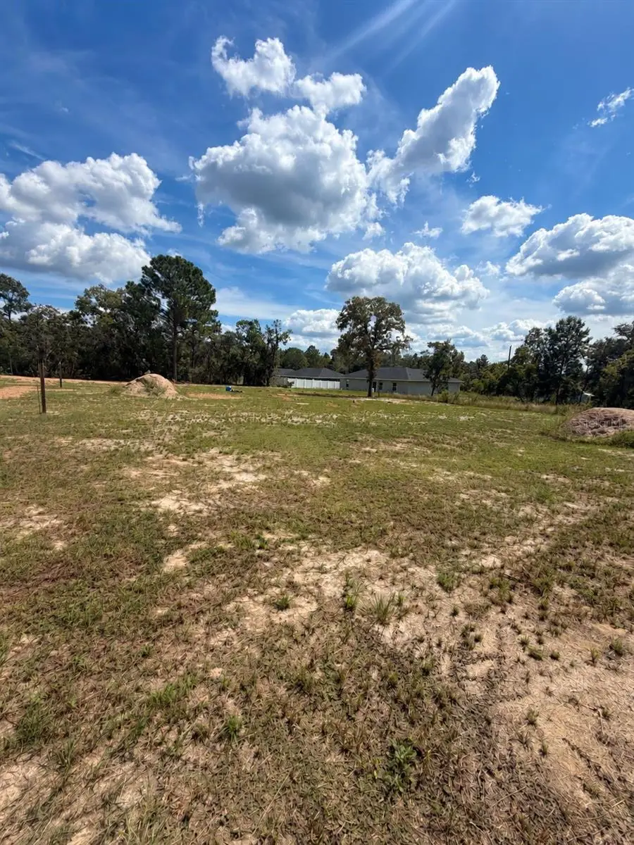 TBD SW 125th Lane, Belleview, FL 34420 - #2