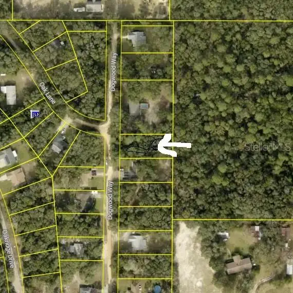 Dogwood Way, LADY LAKE, FL 32159