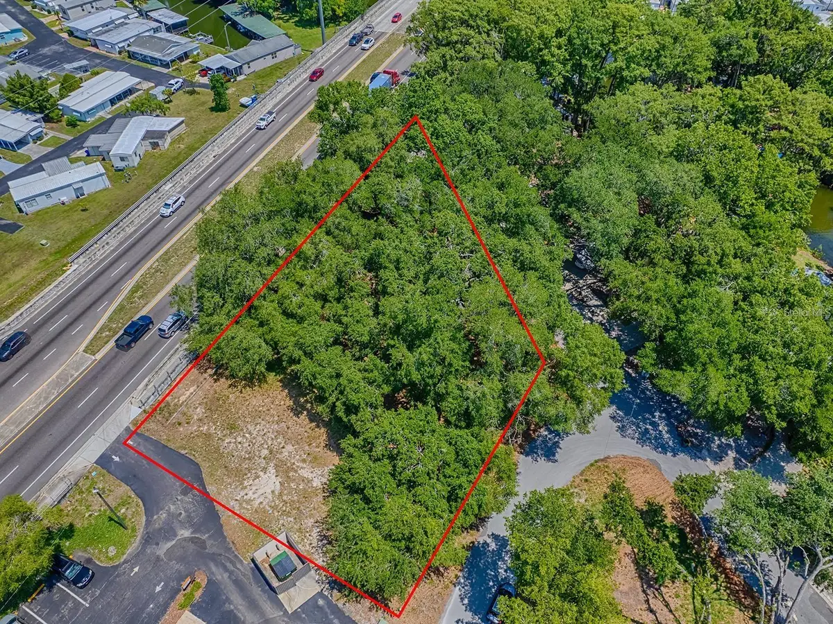 Lion Lane, Tavares, FL 32778 - #1