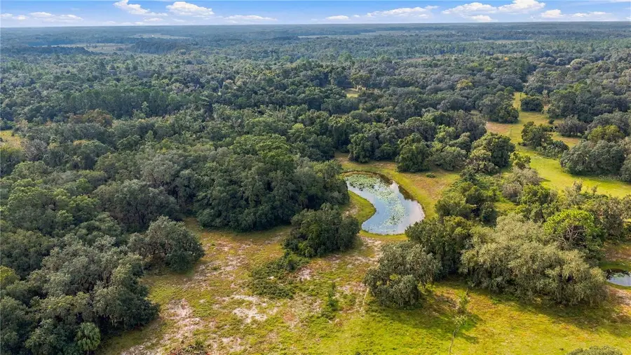 10425 E Moccasin Slough Road, Inverness, FL 34450 - #2
