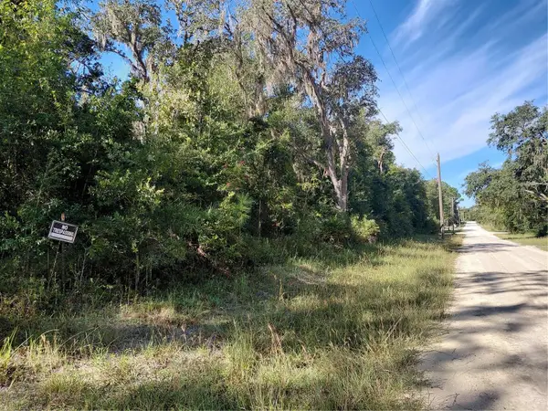 Butternut Drive, WEBSTER, FL 33597