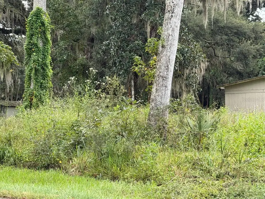 County Road 426e, Lake Panasoffkee, FL 33538 - #3