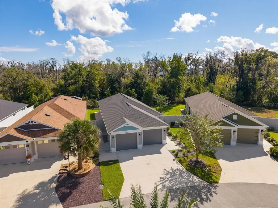 3486 Piper Place, The Villages, FL 32163 - #2