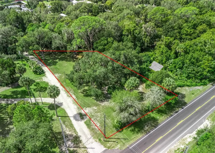 12530 SE 142nd Avenue, Ocklawaha, FL 32179 - #2