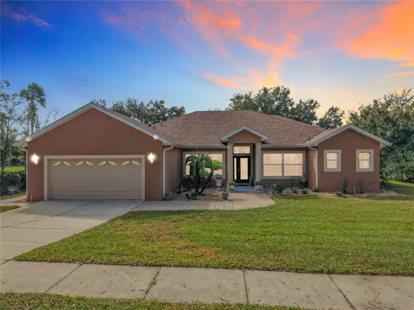 16521 Spring Park Drive, CLERMONT, FL 34711