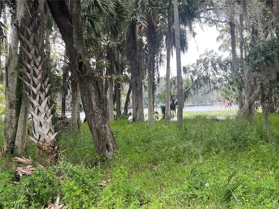 Hickory Road, Astor, FL 32102 - #3