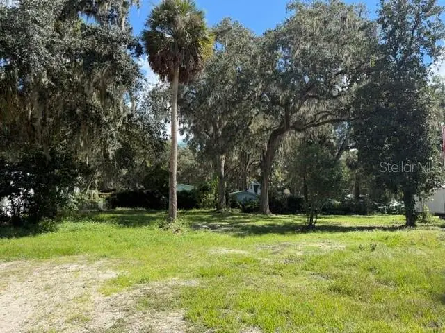 3687 Cr 405dw, Lake Panasoffkee, FL 33538 - #1