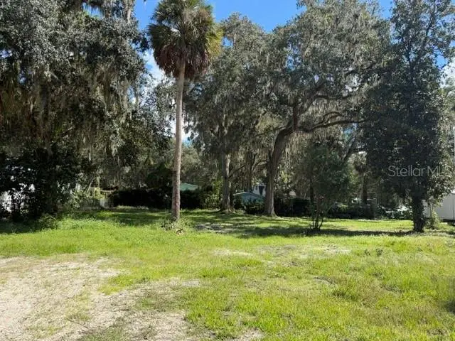 3687 Cr 405dw, Lake Panasoffkee, FL 33538 - #2