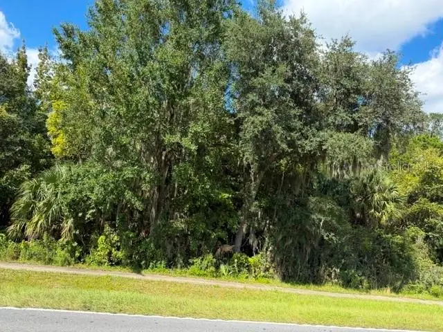 0000 0000 Unassigned, Bushnell, FL 33513 - #1