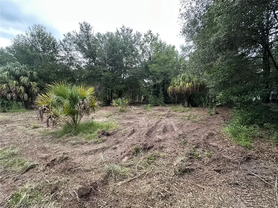 11356 N Young Drive, Dunnellon, FL 34433 - #3