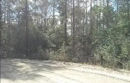 TBD Se 213th Terrace, UMATILLA, FL 32784