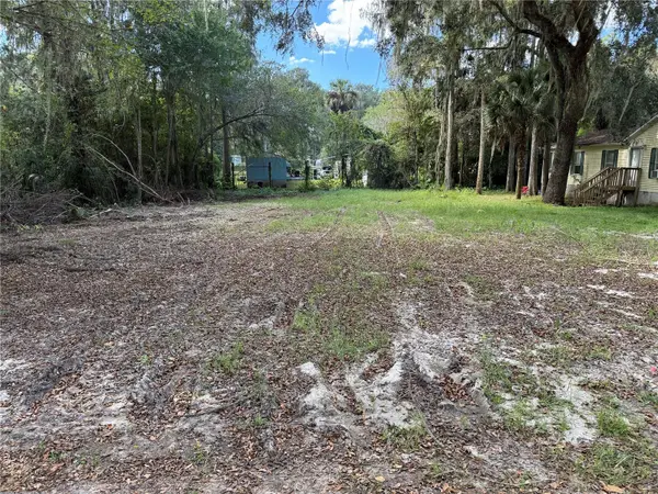 County Road 426a, LAKE PANASOFFKEE, FL 33538
