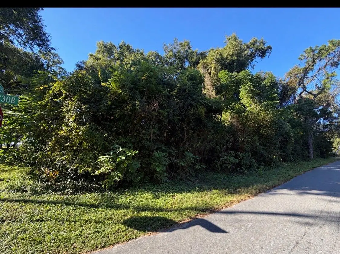 3711 Cr 230b, Wildwood, FL 34785 - #1