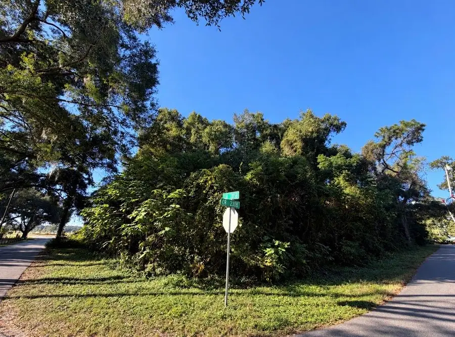 3711 Cr 230b, Wildwood, FL 34785 - #2