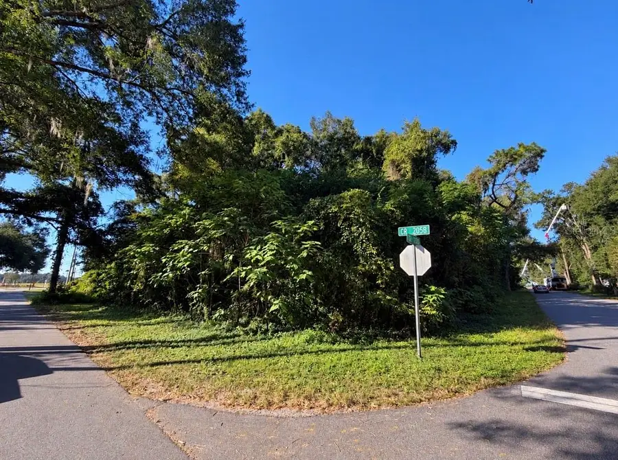 3711 Cr 230b, Wildwood, FL 34785 - #3