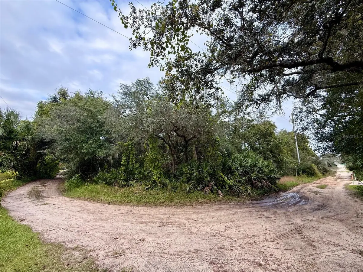 Cypress Drive, Leesburg, FL 34788 - #1