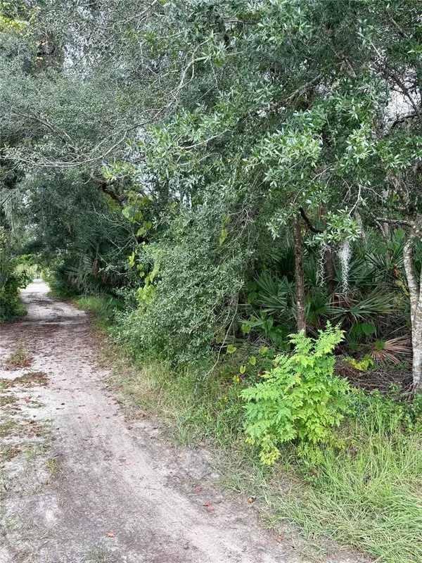 Cypress Drive, LEESBURG, FL 34788