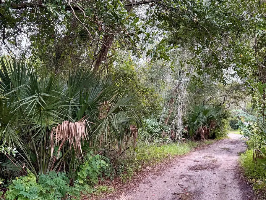 Cypress Drive, Leesburg, FL 34788 - #3