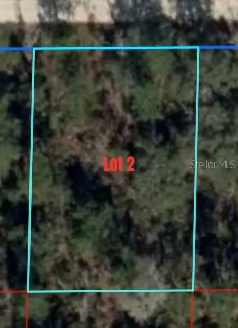 NE 66th Lane, Williston, FL 32696 - Image #2