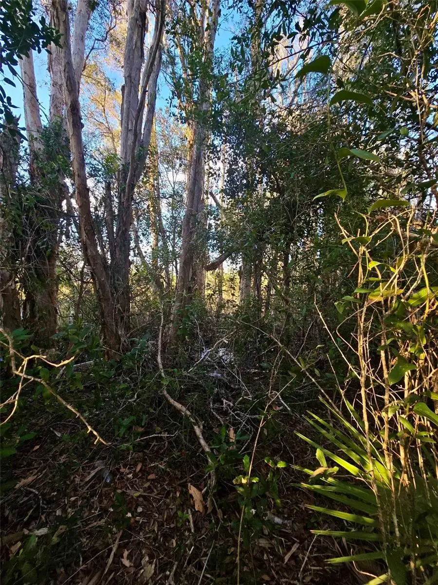 3402 39th St Sw, Lehigh Acres, FL 33976 - Image #3