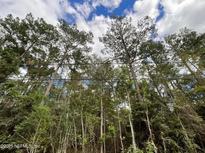 3089 Veronica Avenue, Middleburg, FL 32068 - Image #2