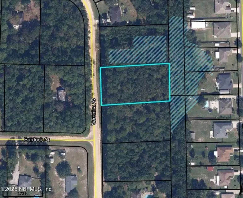 3089 Veronica Avenue, Middleburg, FL 32068 - Image #3