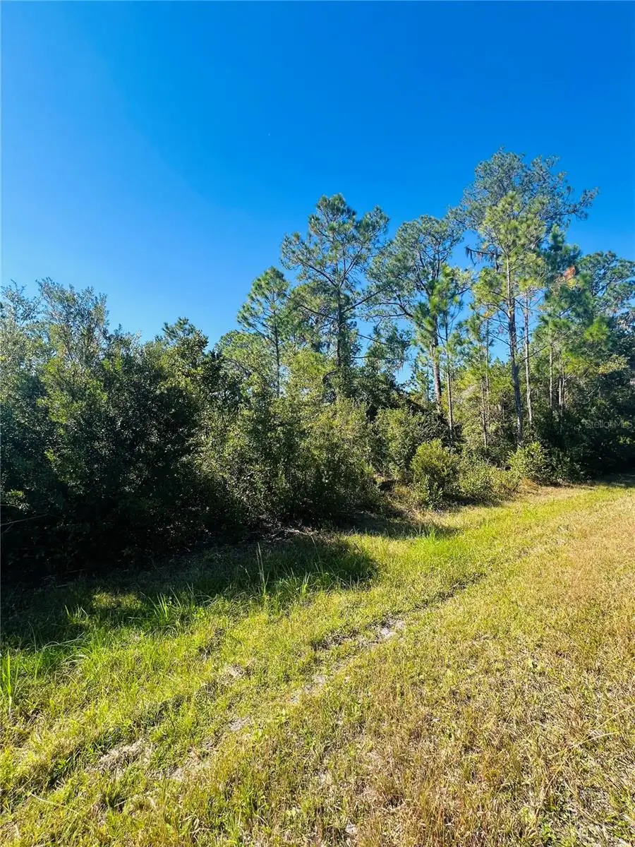 13920 SE 204th Terrace, Hawthorne, FL 32640 - Image #2