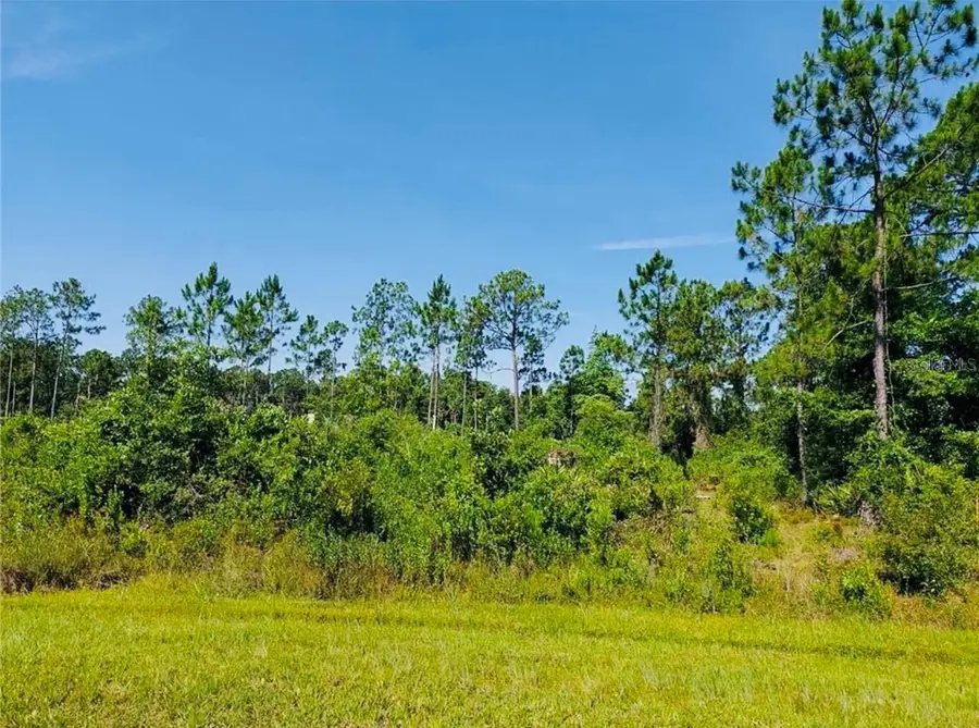 13920 SE 204th Terrace, Hawthorne, FL 32640 - Image #3