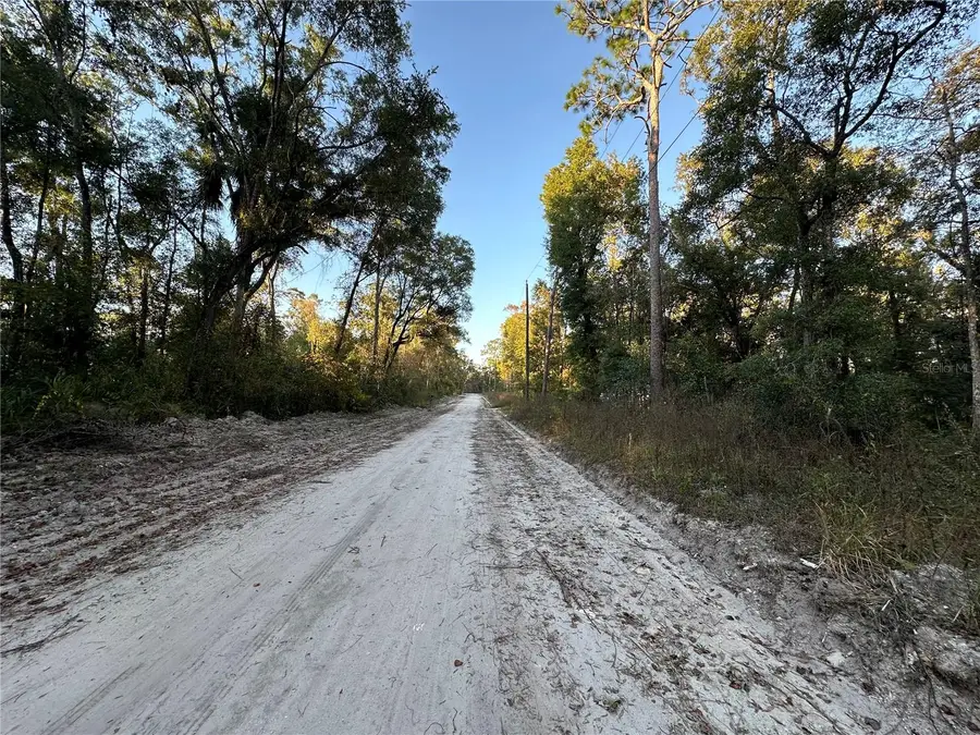 150 SE 926th Street, Old Town, FL 32680 - Image #2