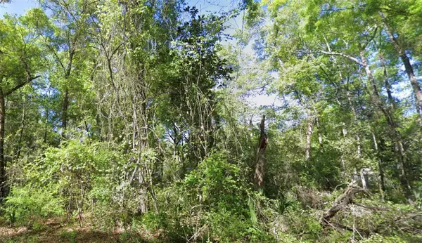 000 926th Street, OLD TOWN, FL 32680