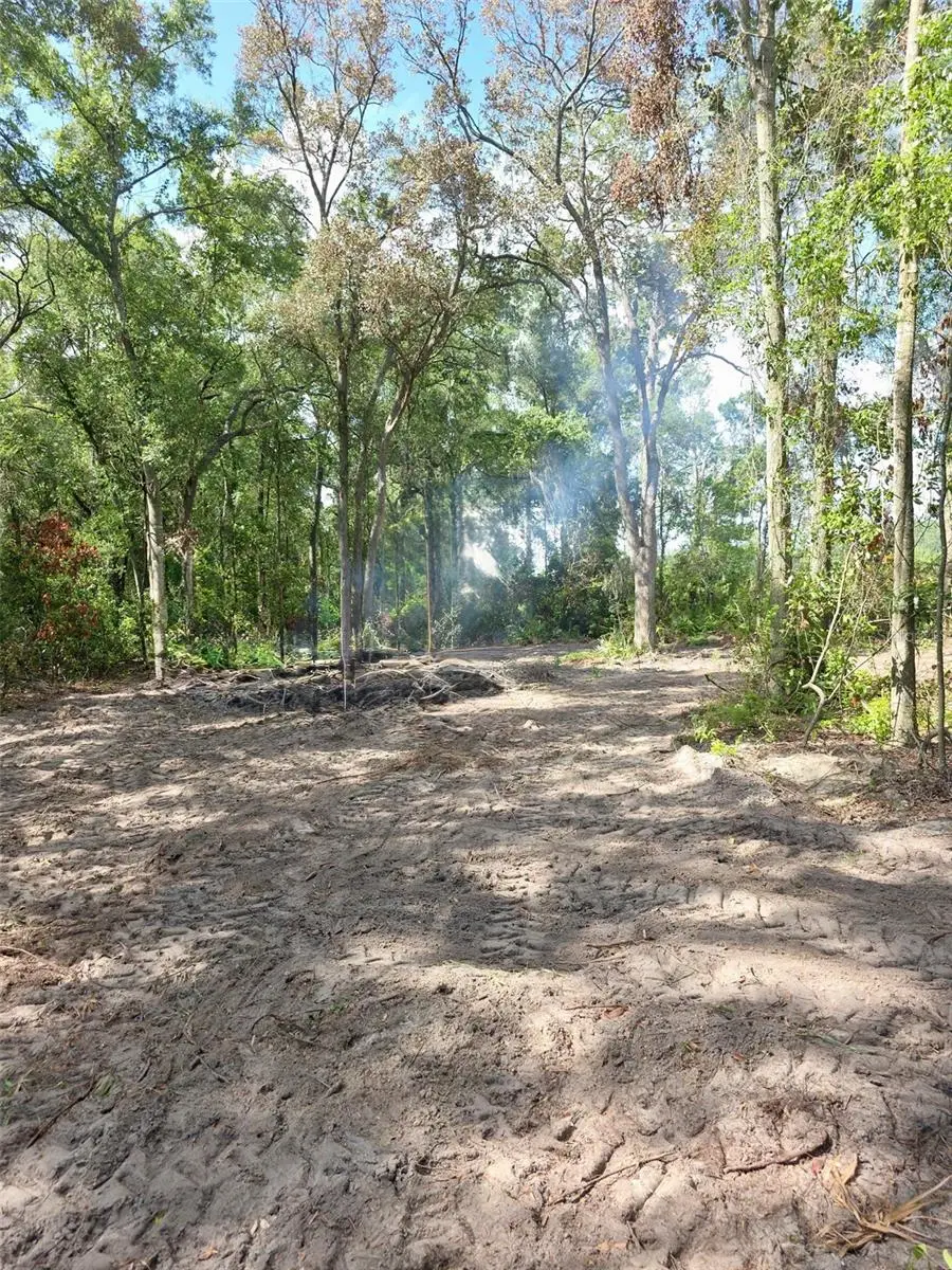 Lot 111 NW 70th Avenue, Trenton, FL 32693 - #2