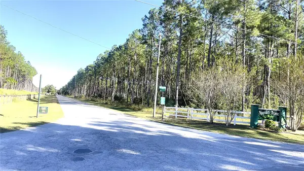 Lot 47 NW 73rd Street, CHIEFLAND, FL 32626