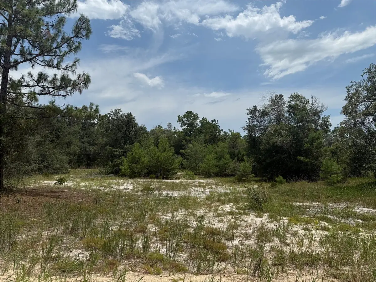 129 Viola Drive, Hawthorne, FL 32640 - Image #1