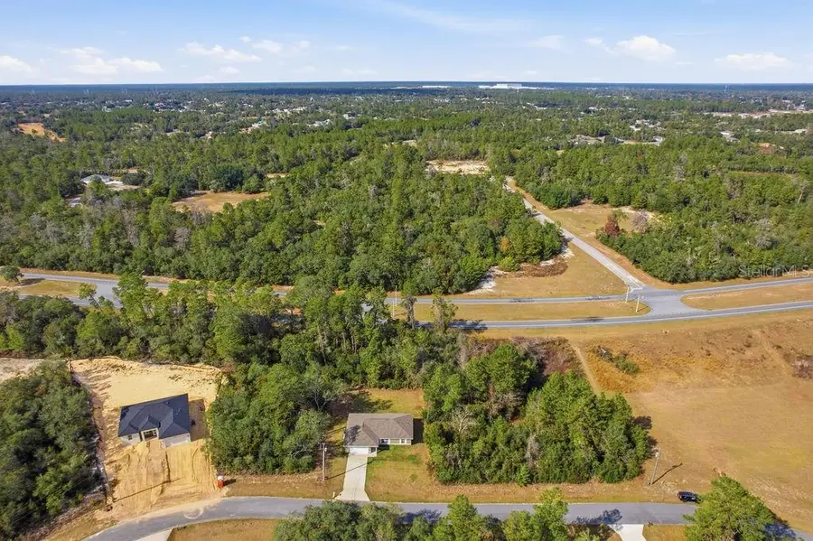 16592 SW 31st Circle, Ocala, FL 34473 - Image #3