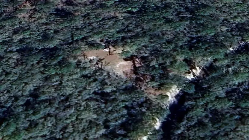 164 SE Pelican Road, Branford, FL 32008 - Image #2