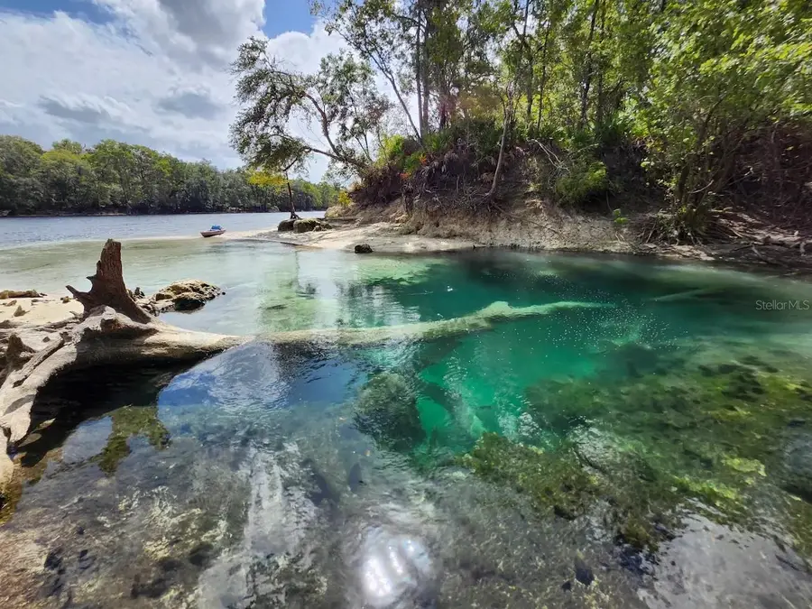 164 SE Pelican Road, Branford, FL 32008 - Image #3