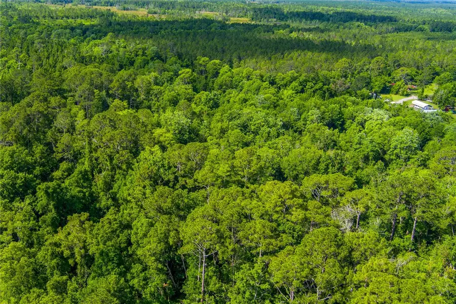 3201 E Raulerson Road, Saint Augustine, FL 32092 - Image #3