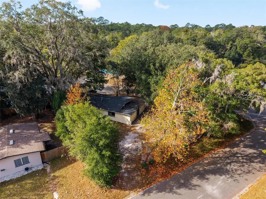 1919 NE 17th Drive, Gainesville, FL 32609 - Image #3