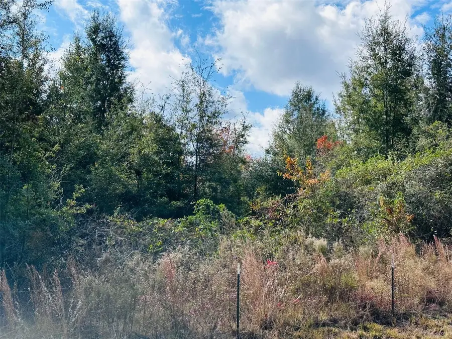 0 NW 126 Street, Chiefland, FL 32626 - Image #2