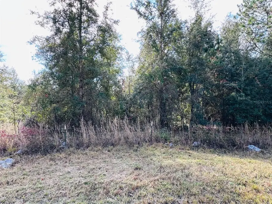 0 NW 126 Street, Chiefland, FL 32626 - Image #3