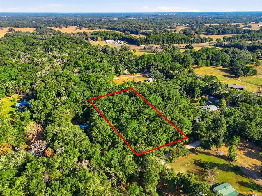 000 NE 40th Street, Williston, FL 32696 - Image #3