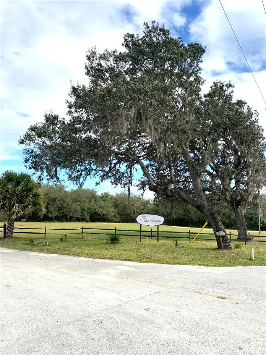 15991 NE 243rd Place Road #54, Fort McCoy, FL 32134 - Image #3