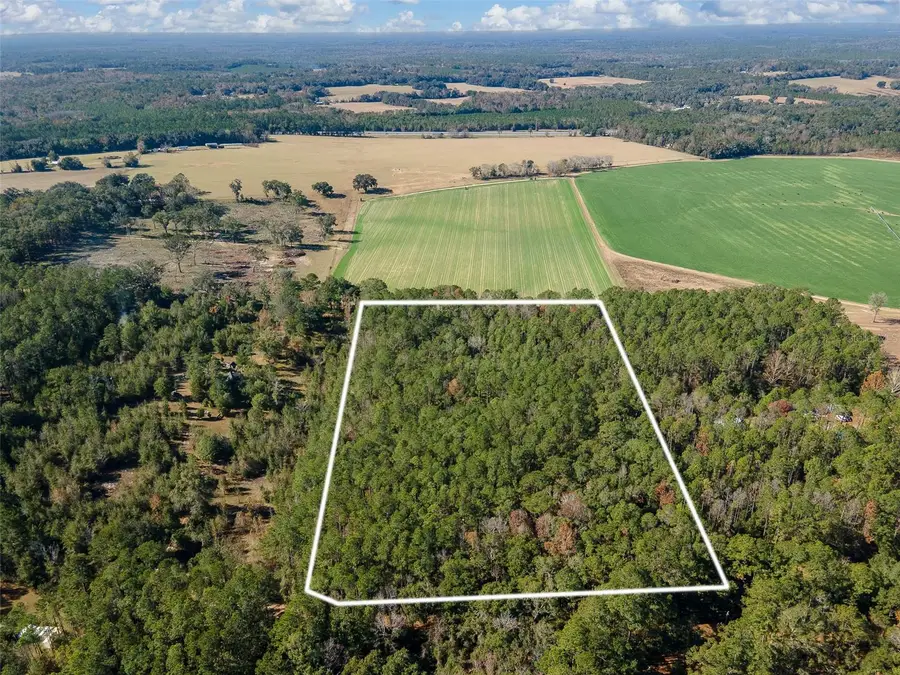 TBD N County Rd 1491, Alachua, FL 32615 - Image #3